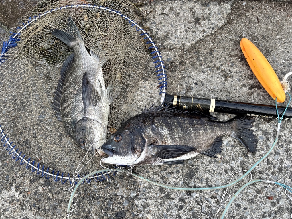 釣り好き専用