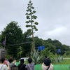 ミーハーして来ました / iphoneスケッチ