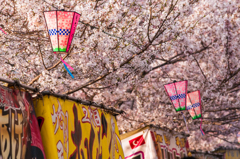 写真句/ボンボリに