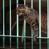 そんなに身を乗り出して