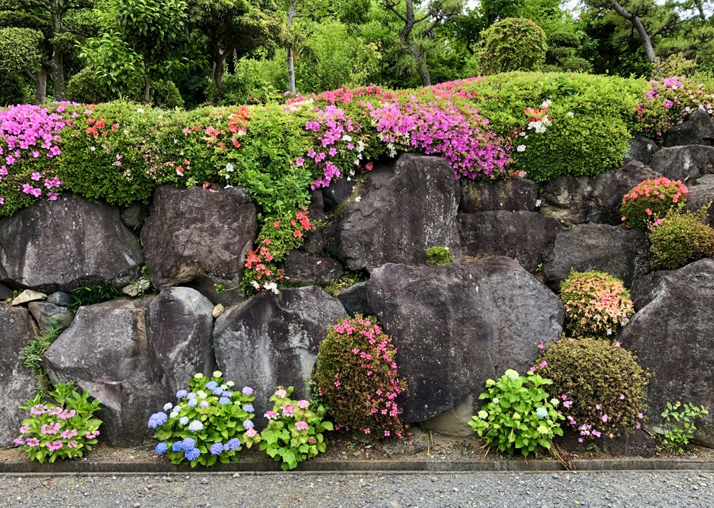 境内に咲く花々 / iphoneスケッチ・54