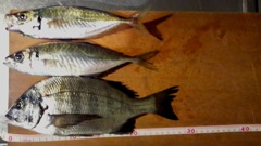 番外１４/釣り好き専用です！