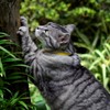 猫/猫三題目　３－２