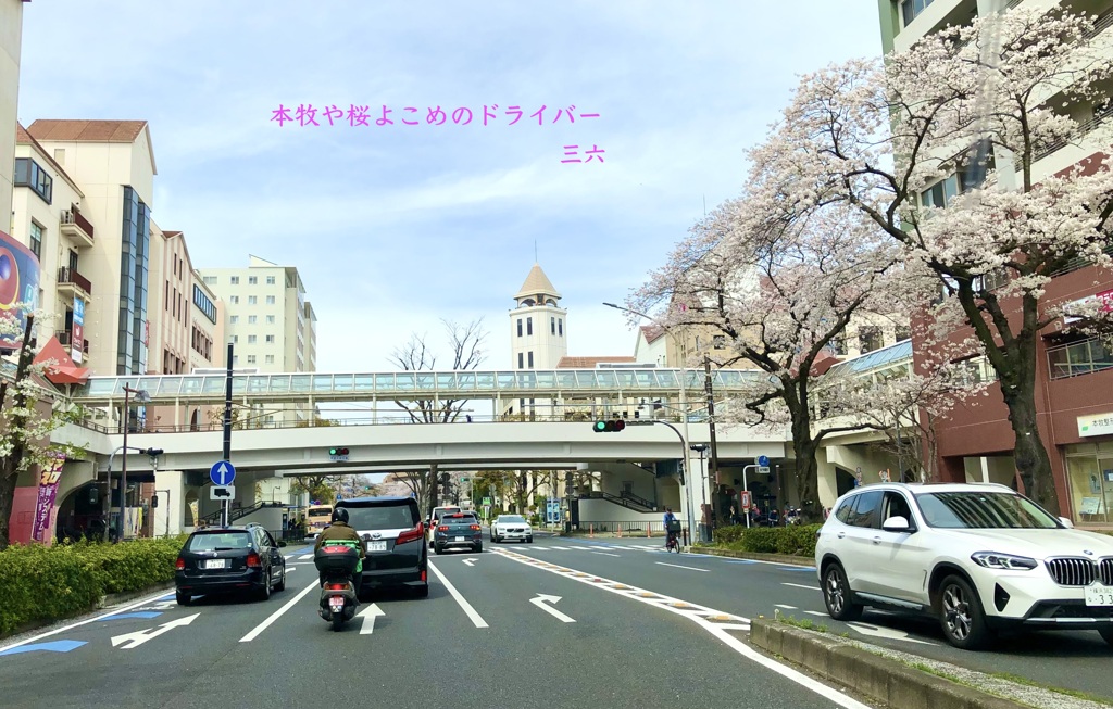 私的写真句