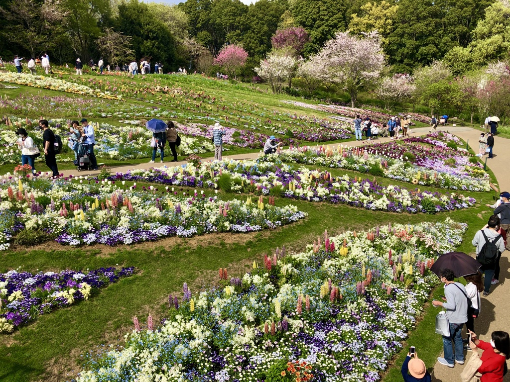 写真句 / iphoneスケッチ・83