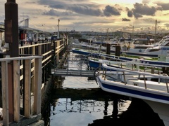 続・横浜金沢漁港/iphoneスケッチ・41
