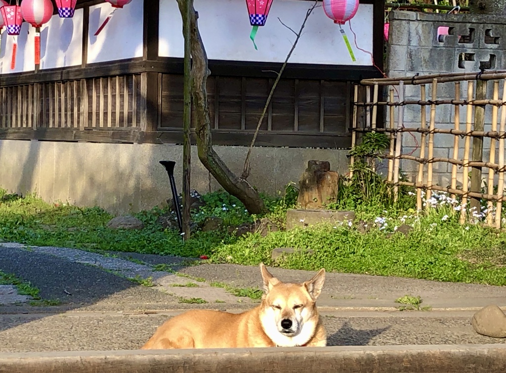 写真句 / iphoneスケッチ・77
