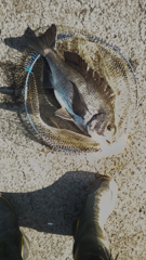 番外２４の１/釣り好き専用です！
