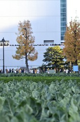 ■横浜/　横浜アリーナ３題　③
