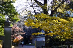 写真句