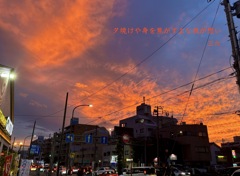 私的写真句