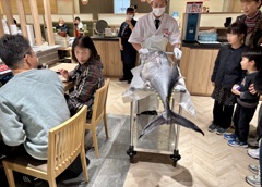 iPhoneスケッチ/ マグロの解体ショー