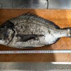 釣り好き専用