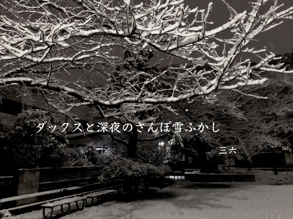 私的写真句・11