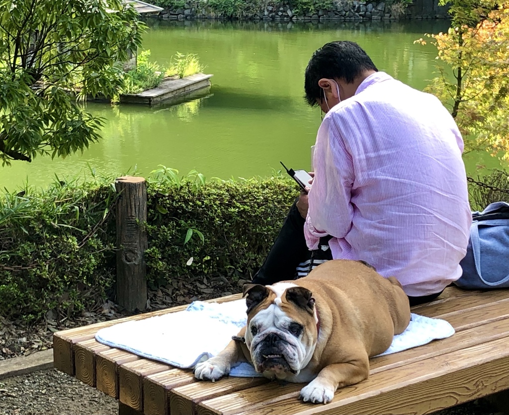 犬と人 / iphoneスケッチ・98