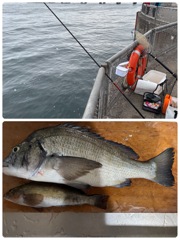 釣り好き専用 / 初釣り！