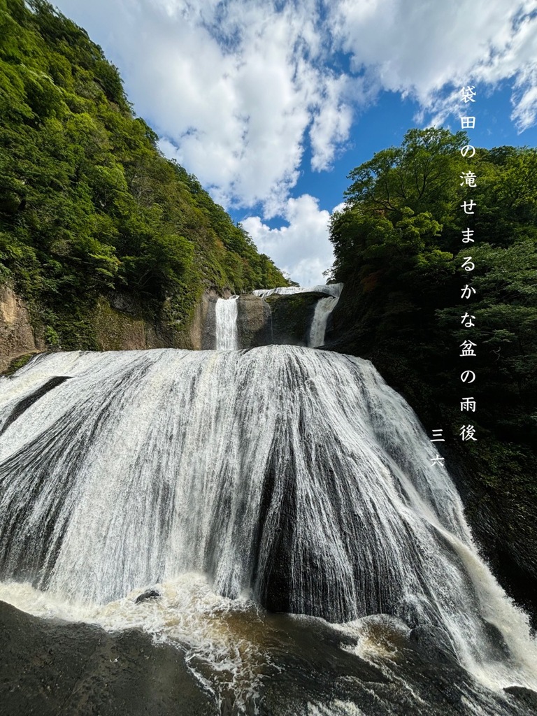私的写真句 / 新・アイホンデビュー