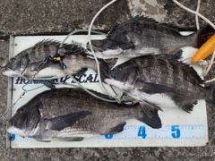 釣り好き専用！