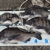 釣り好き専用！