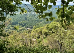 私的写真句 / 箱根二題