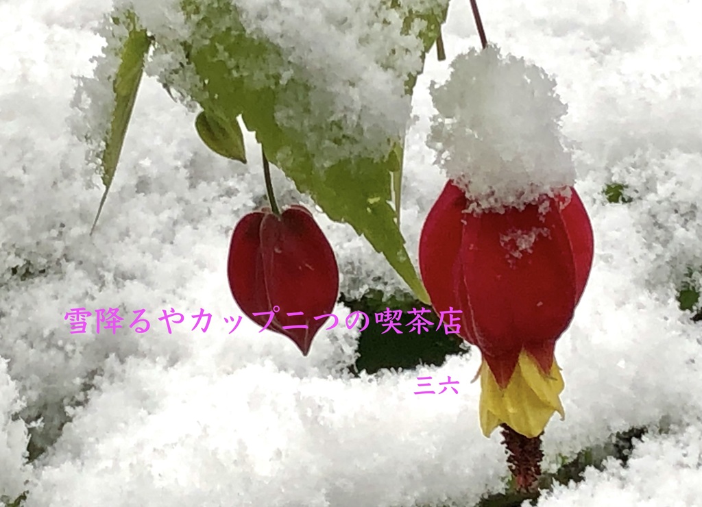 私的写真句・3