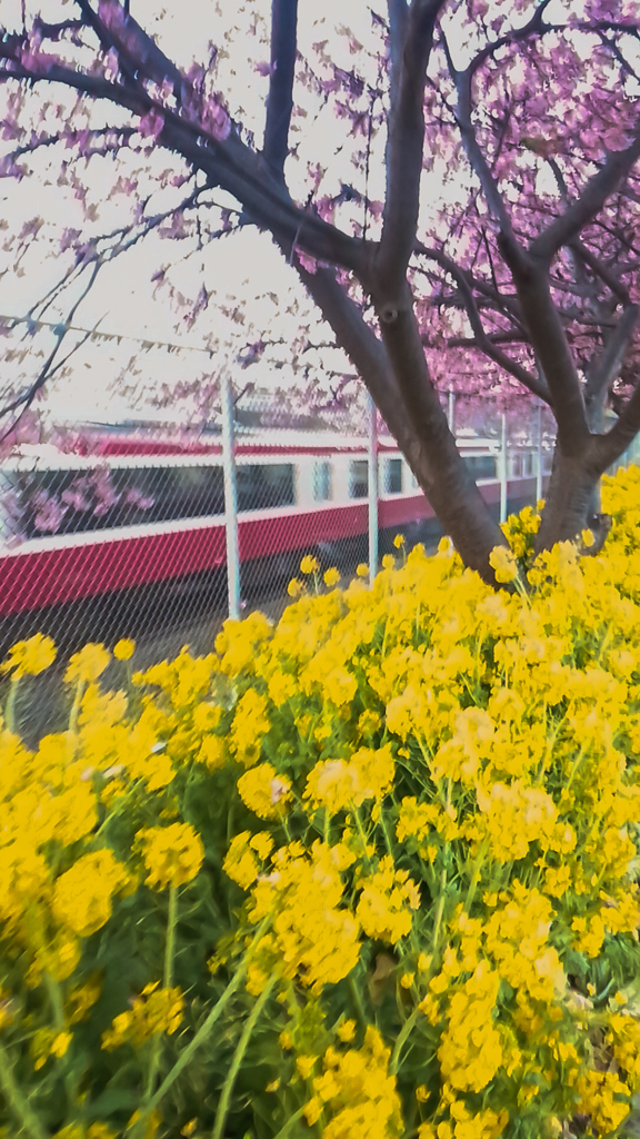 番外２１/釣り好き専用です！