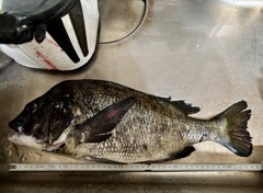 釣り好き専用です