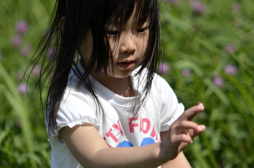 小さな交流　３枚組②/パーソナル・スケッチ
