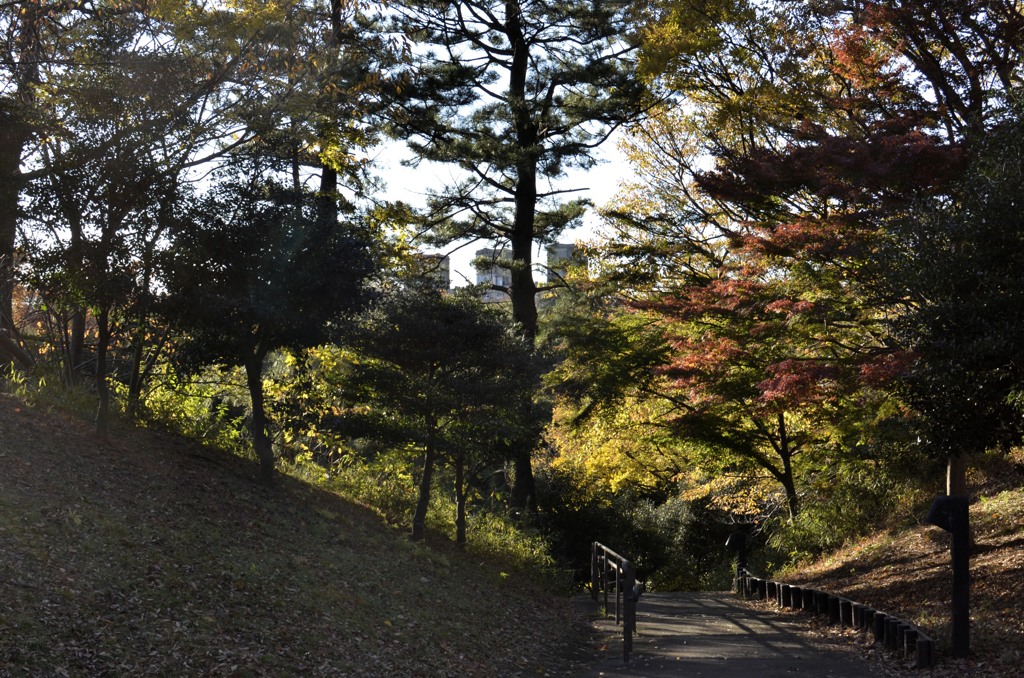 写真句！