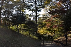 写真句！