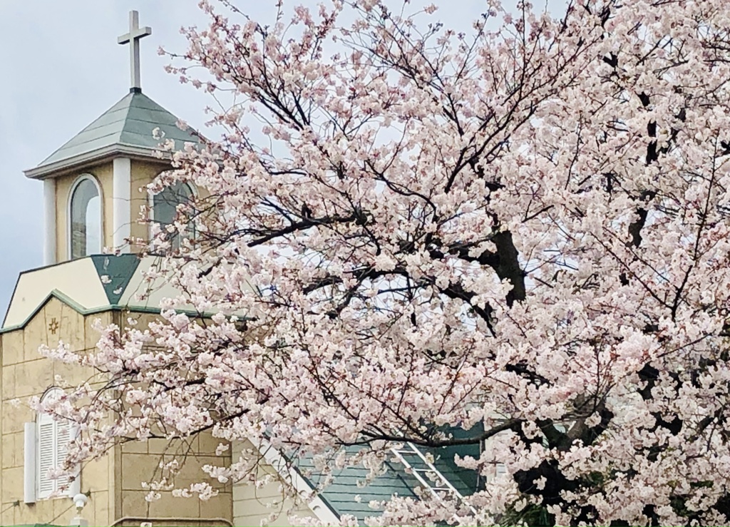 写真句 / iphoneスケッチ・79