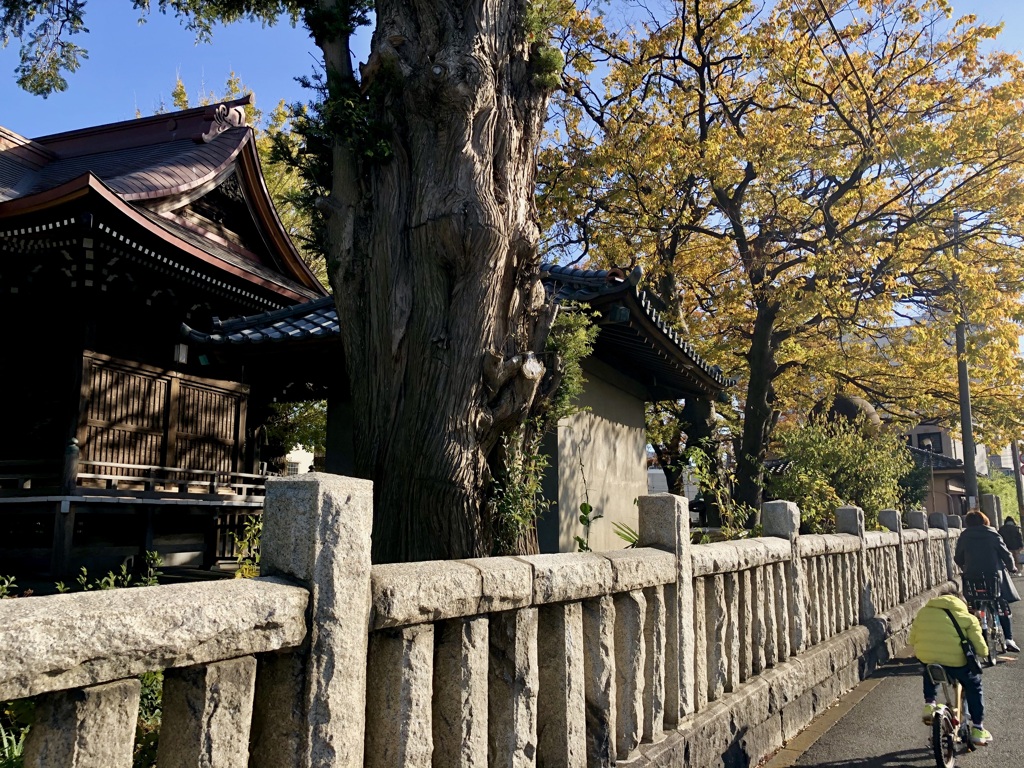 iPhoneスケッチ・14/神社の秋