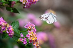 在庫整理4−4まで