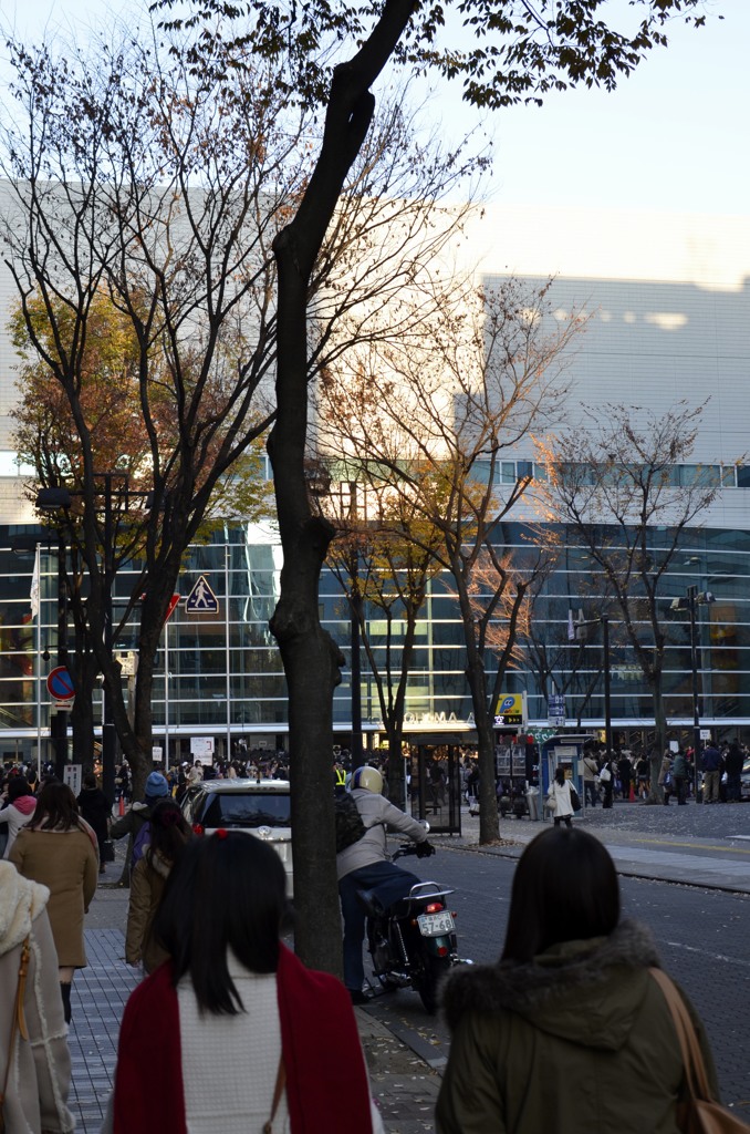 横浜/　横浜アリーナ３題　②