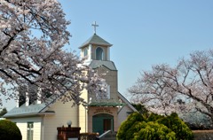 続・横浜の教会と桜　２題①