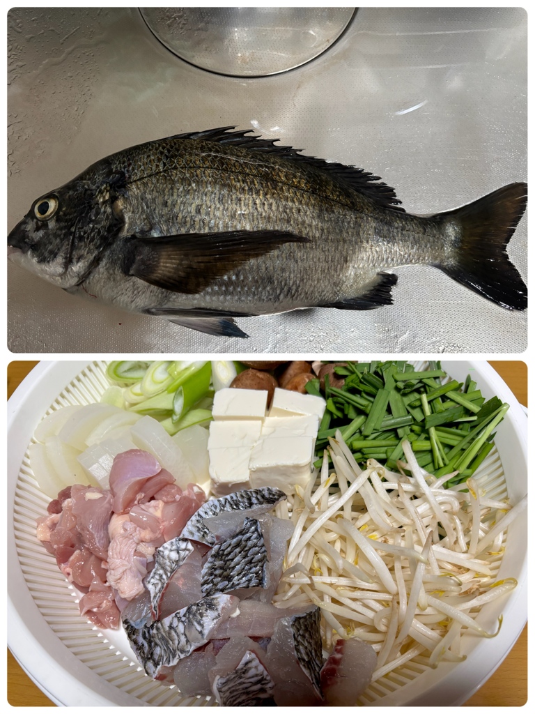 釣り好き専用！