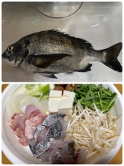 釣り好き専用！