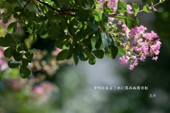 私的写真句