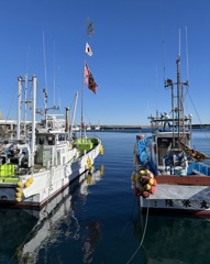 iPhoneスケッチ / 北茨城・平潟港
