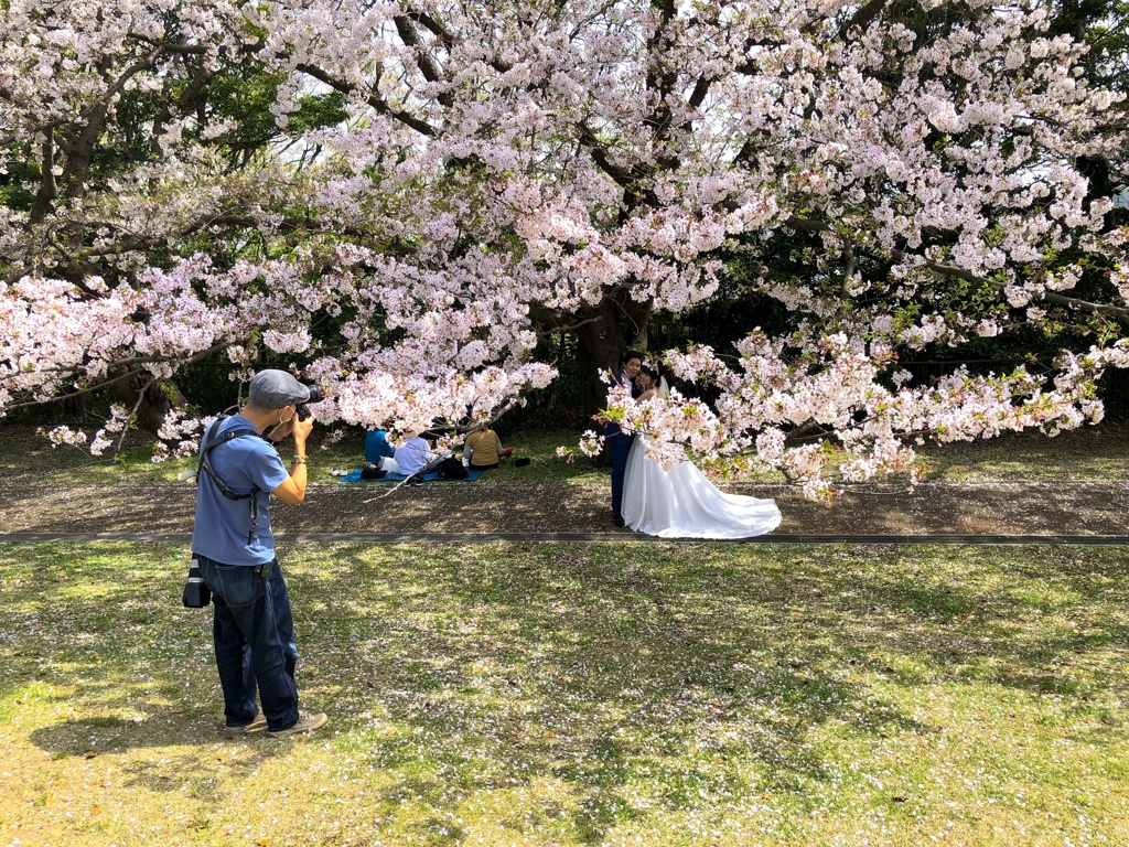 写真句 / iphoneスケッチ・81