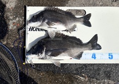 釣り好き専用