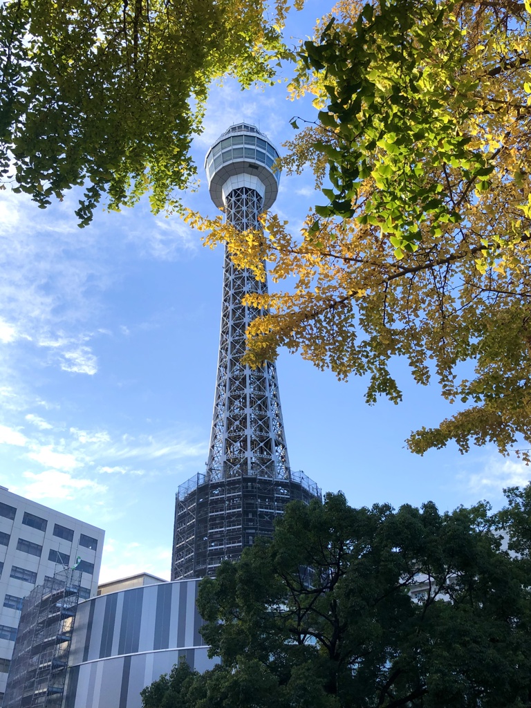 恥ずかしながら/ iphoneスケッチ102