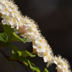 魅惑の輝き。。。