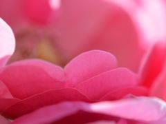 あなたへの想い。。。