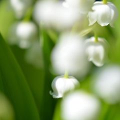 奏でる。。。