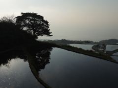 東後畑の棚田