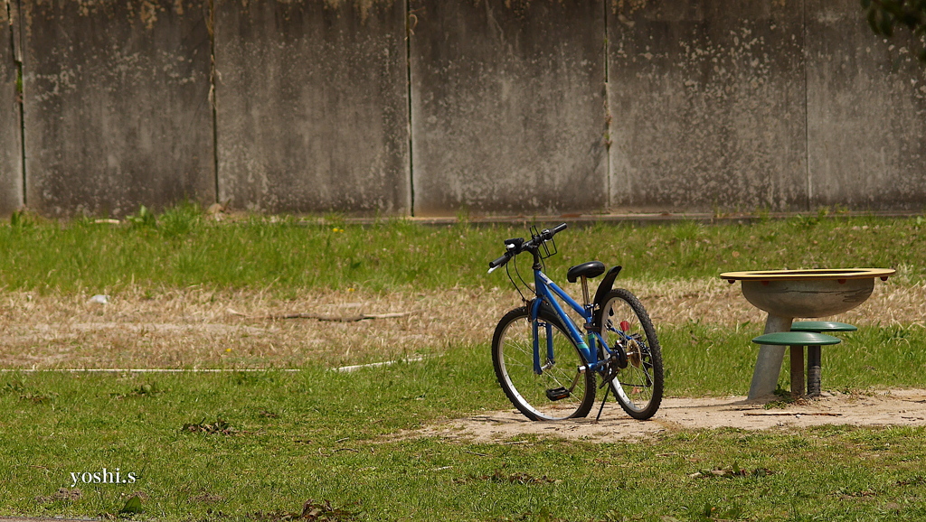 写真指編：Alone