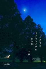 写真句：夕散歩５：宵の月