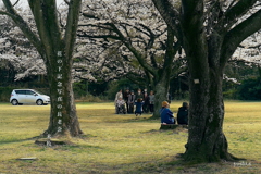 写真句：さくら宇宙公園さくら祭り18：NTW609