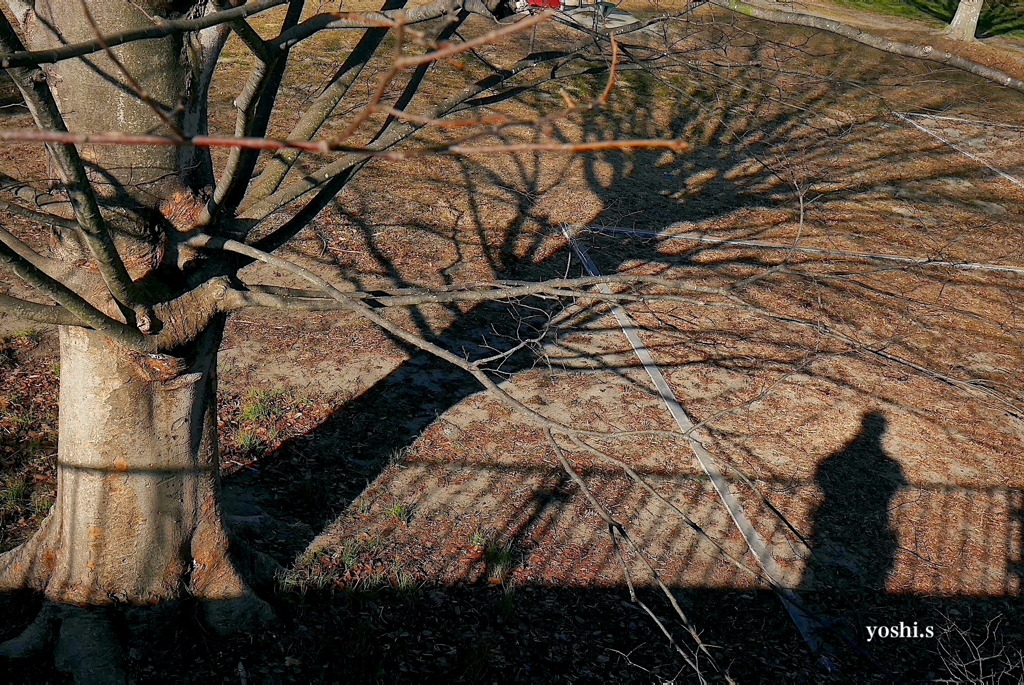 写真エッセイ：The shadow of your style